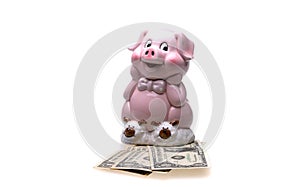 Pink piggy bank in the form of a cute pig and dollar bills.