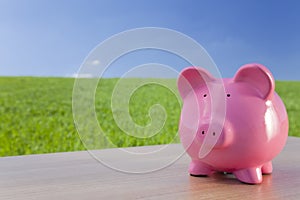 Pink Piggy Bank In A Green Field