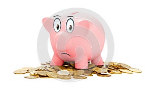 Pink piggy Bank isolated on a white background.