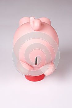 Pink piggy bank money box