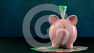 Pink Piggy bank money concept on dark blue background