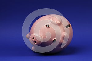 Pink piggy bank recumbent on blue background