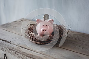 Pink Piggy Bank Securely Nestled in a Rustic Bird\'s Nest photo