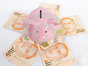 Pink piggy bank with singapore bank note, Saving money for future plan and retirement fund concept