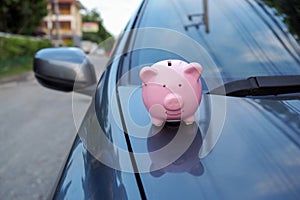 Pink piggy bank standing on the black car, saving money for new car or saving money with car insurance