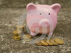 Pink piggy bank standing on cement road with gold coins pile, Saving money for future plan and retirement fund concept