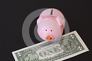 Pink piggy bank standing on a one Dollar banknote.