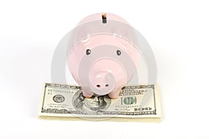 Pink piggy bank standing on stack of money american hundred dollar bills