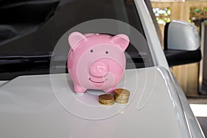 Pink piggy bank standing on the white car, saving money for new car or saving money with car insurance