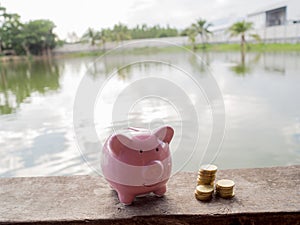 Pink piggy bank standing on wooden with gold coins pile and water background, Saving money for future plan and retirement fund