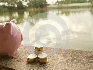 Pink piggy bank standing on wooden with gold coins pile and water background, Saving money for future plan and retirement fund