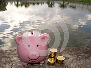 Pink piggy bank standing on wooden with gold coins pile and water background, Saving money for future plan and retirement fund