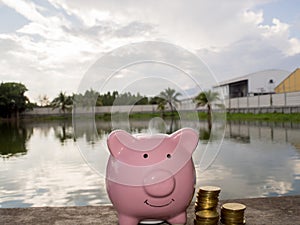 Pink piggy bank standing on wooden with gold coins pile and water background, Saving money for future plan and retirement fund