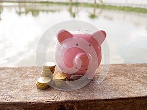 Pink piggy bank standing on wooden with gold coins pile and water background, Saving money for future plan and retirement fund