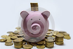 Pink piggy Bank. Symbol of new year 2019