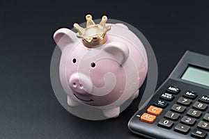 Pink piggy bank wearing golden crown with calculator using as sa
