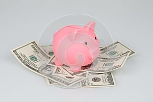 Pink piggy money box on pile of dollar banknotes