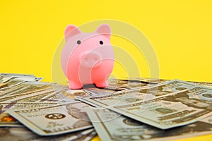 Pink piggy money box in pile of dollar banknotes on yellowbackground, finance Savings, save money for future investments
