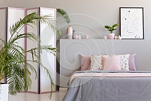 Pink pillows on grey bed in pastel bedroom interior with palm and poster on bedhead. Real photo photo