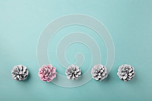 Pink pine cone in a line of white ones, flatlay with copy space