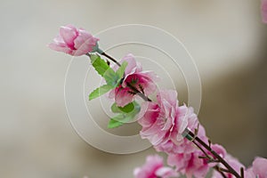 Pink plastic flowers used to decorate the place.