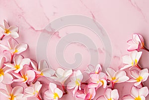 Pink plumeria background