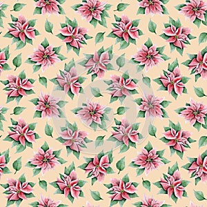 Pink poinsettia Christmas flowers and green leaves watercolor floral seamless pattern on peach beige background