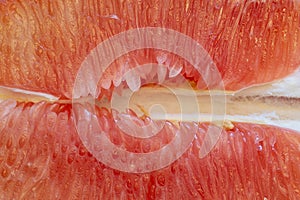 Pink pomelo juice vesicle aggregation. Food background texture closeup photo