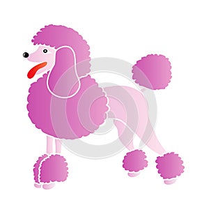 Pink poodle