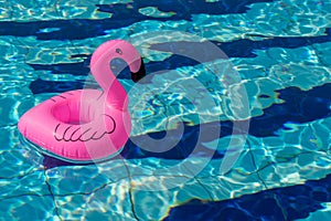 Pink pool. Pink inflatable flamingo in pool water for summer beach background. Pool float party