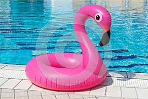 Pink pool. Pink inflatable flamingo in pool water for summer beach background. Pool float party