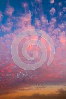 Pink popcorn clouds at sunset