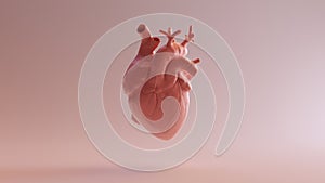 Pink Porcelain Anatomical Heart