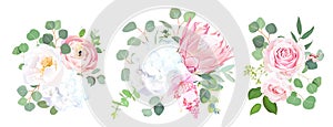 Pink protea, ranunculus, rose, medinilla, white hydrangea, seede photo