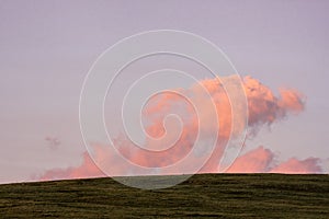 Pink Puffy Cloud Hangs Over The Tundra Of Rocky Mountain