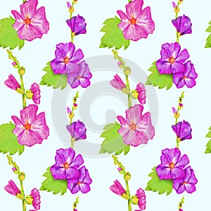 Pink-purple Alcea rosea common hollyhock, mallow flower stem with green leaves and buds,  hand painted watercolor illustration