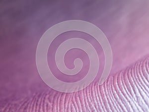 Pink Purple Blur Background