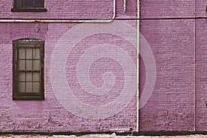 Pink Purple Brick Wall