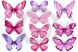 Pink and purple butterflies set, isolated background. Watercolor Illustration, vintage style. Template for your design.