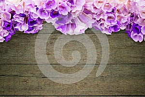 Pink purple flower mansoa alliacea or garlic vine frame on vintage grunge wooden background