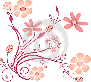 Pink and Purple Flower Vector on white background