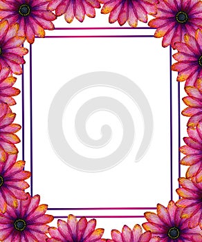 Pink and purple flowers frame decoration, hand drawn vibrant floral border illustration, abstract line art botanic decoration