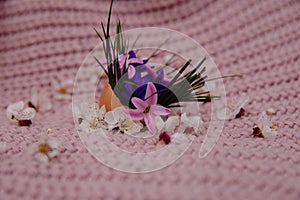 Pink and purple flowers with green grass in an eggshell next to a flower