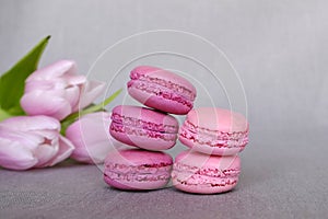 Pink and purple french macarons on grey background with flowers. Sweet food, confectionery. Space for text