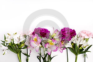 Pink and purple gillyflowers with alstroemeria on white background
