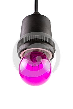 Pink Purple Incandescent round light bulb