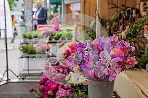 Pink, purple and magenta bouquet of blooming flower in front of floral shop in outdoor market.