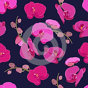 Pink purple orchid floral seamless pattern. Flowers bloom blossom foliage