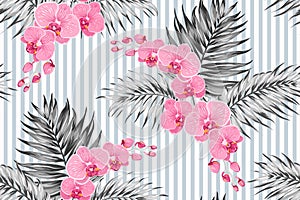 Pink purple orchid phalaenopsis exotic flowers tropical jungle palm tree leaves. Greyscale background vertical stripes.