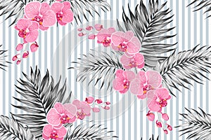 Pink purple orchid phalaenopsis exotic flowers tropical jungle palm tree leaves. Greyscale background vertical stripes. photo